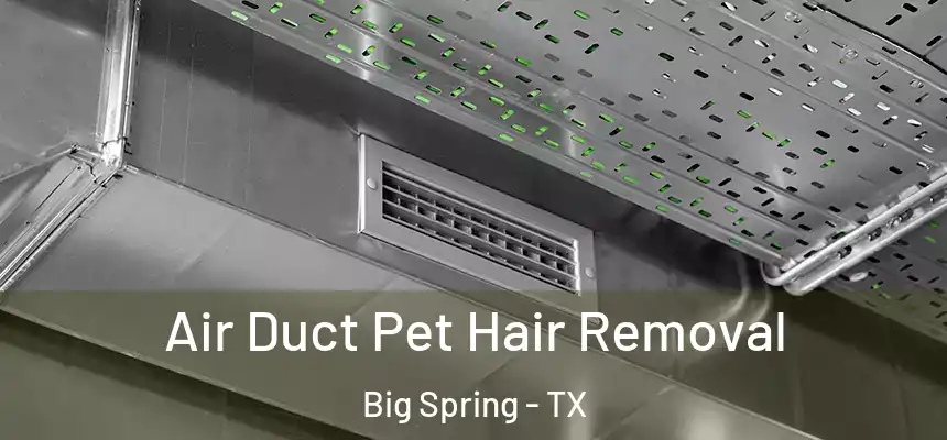 Air Duct Pet Hair Removal Big Spring - TX
