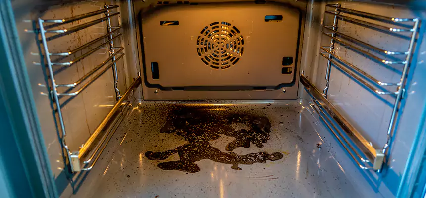 Our Dryer Vent Mold Cleaning Services in Big Spring, TX