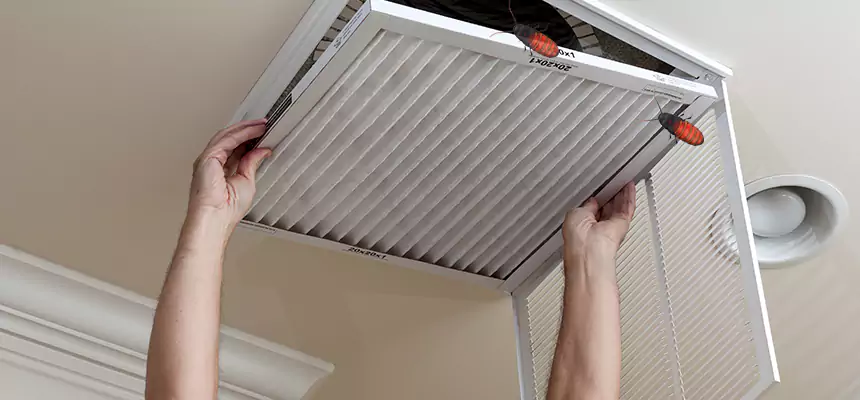 Our Insect Removal from Air Ducts Services in Big Spring, TX