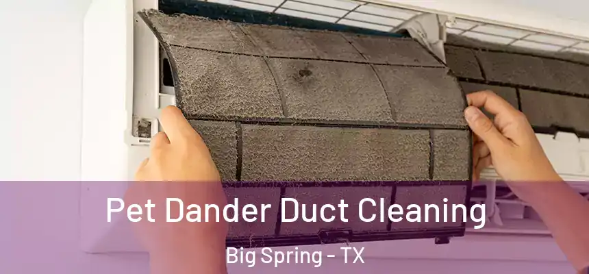 Pet Dander Duct Cleaning Big Spring - TX