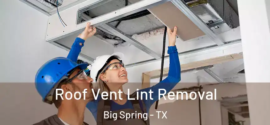  Roof Vent Lint Removal Big Spring - TX