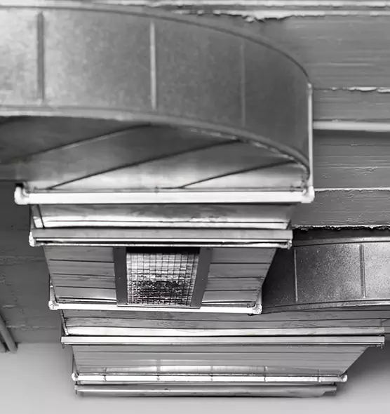 Professional Air Duct Pest Removal in Big Spring, TX