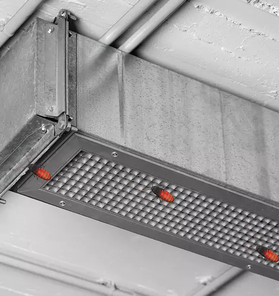 Affordable Insect Removal from Air Ducts in Big Spring, TX