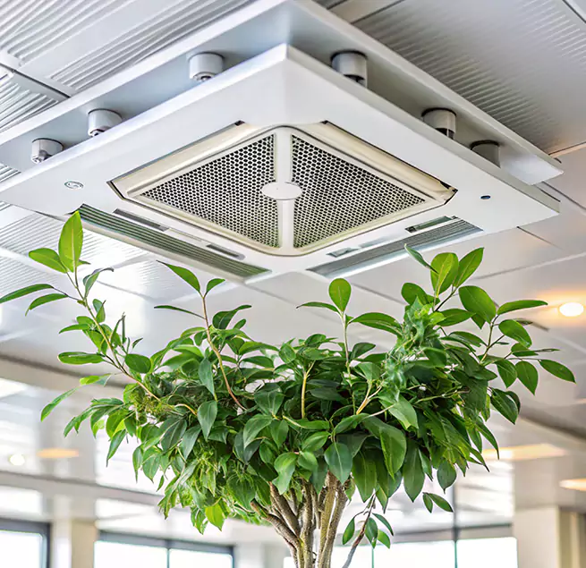 Why Homeowners & Businesses Trust Us in Big Spring, TX?